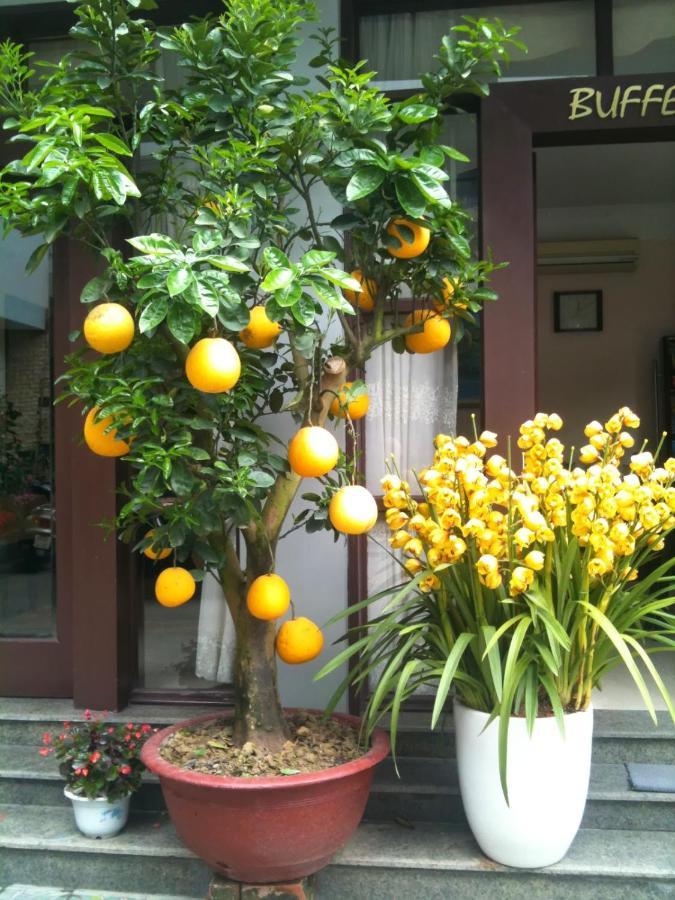 Thien Anh Hotel Hajfong Zewnętrze zdjęcie